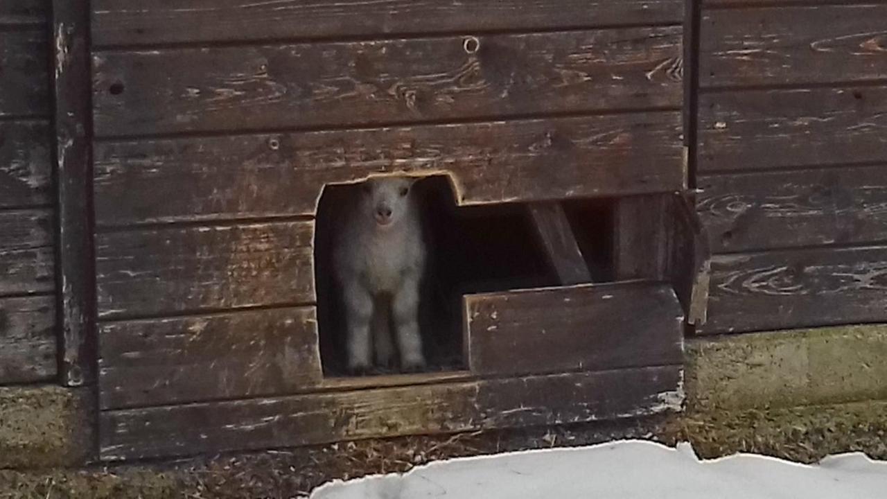 Poggio A Poppi Exterior foto